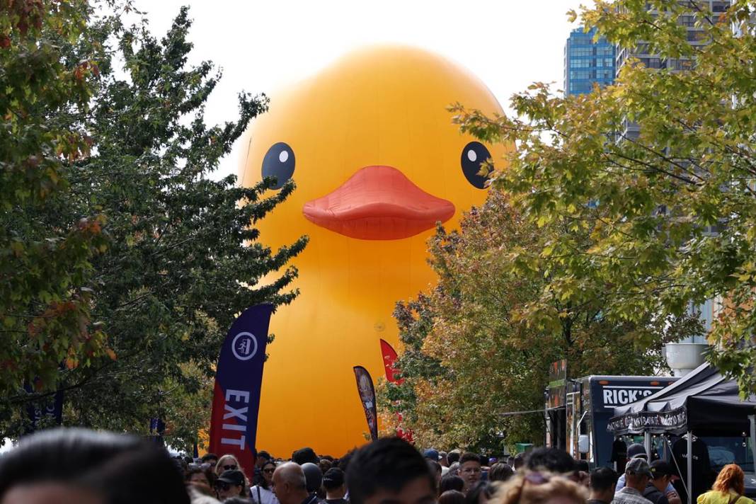 Kente gelen turistler, onu görünce gözlerine inanamadı! Parmakla gösterip endişeyle baktılar 17